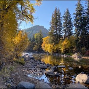 Meet your Posher, Rose